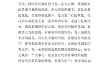 记忆中的画面_600字