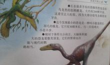 恐龙_100字