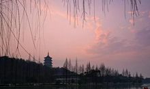 第二十一章 名声丧本