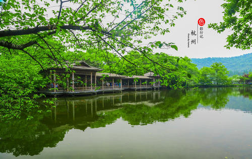 醉酒梦西湖_900字