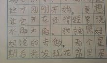 [PK赛]关于难忘的作文：冬夜里的亲情_450字