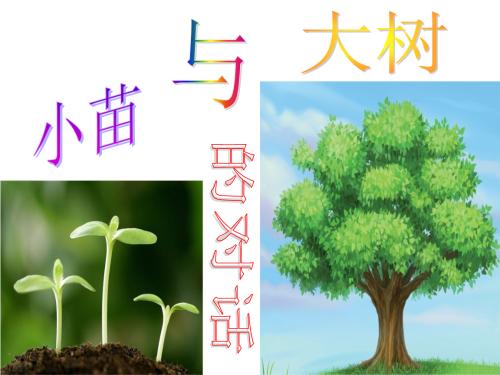 树对话_800字