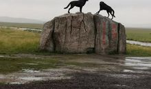 [超新星初中组]心中的狼图腾_2000字