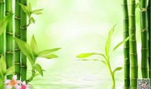 家乡的竹子_700字