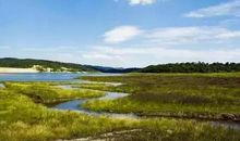 故乡，一场旖旎的梦_550字