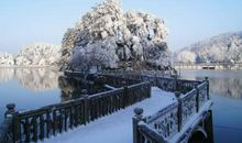 冬日的清晨_450字