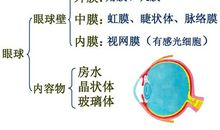 初一状物作文：柳堤_900字