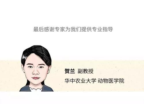 可爱的雨_800字