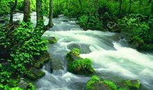 初一状物作文：故乡的小溪_500字