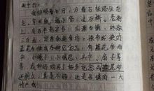 关于下雪的作文：窗外的雪_400字