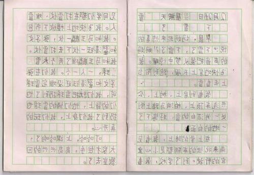 雪上的构图：为什么雪正在下雪_1200字