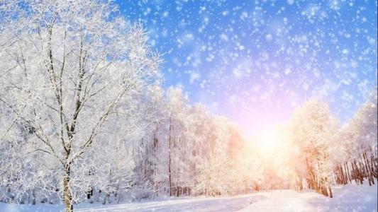 关于降雪组成：我希望下雪_800字