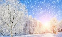 关于下雪的作文：盼望下雪_800字