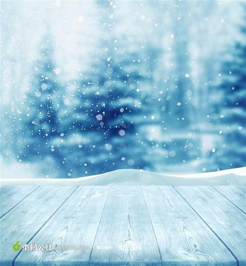 冬天的第一个雪天_450字