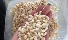 [超新星初中组]我与爆米花机再见时_800字