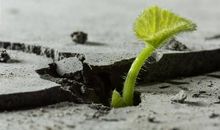 生命的短暂与永恒_900字