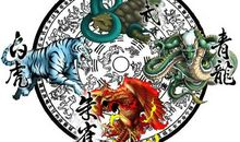 市长，我对你说_550字