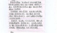 给同学的一封回信_550字