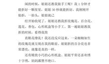 致最爱的染姐姐_750字