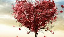 天堂的祝福_1200字