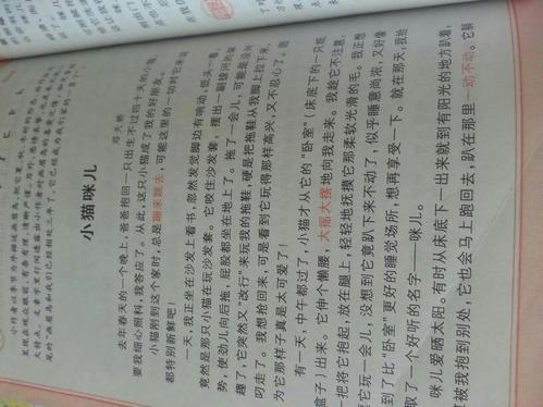 单位成分：我的家人的花卉军队将_500字