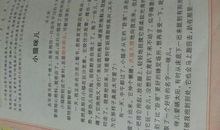 单元作文：我家的花武将_500字