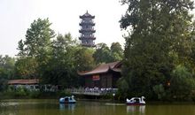 美丽的长青公园_400字