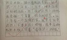 单元作文：保护动物_1200字