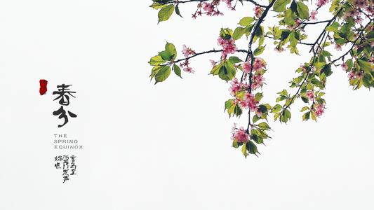 诗歌春天_1500字
