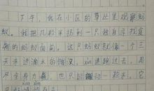 单元作文：蚂蚁_1200字