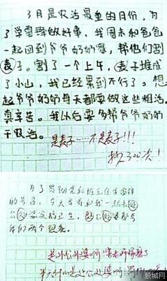 单位成分：关于动物_700字