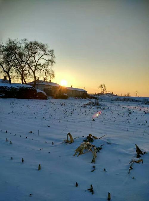 我喜欢冬天的雪_600字