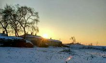 我爱冬天的雪_600字