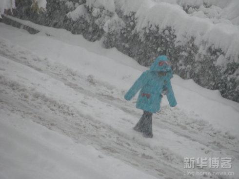 风和雪，苍白的灵魂_350字