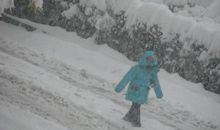 一场风雪，苍白了谁的灵魂_350字