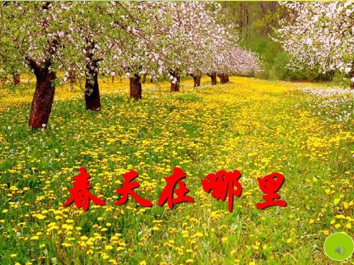 你好，春天_150字