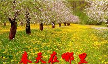 你好，春天_150字