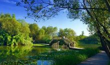 美丽的公园_500字