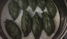 心灵的港湾_900字