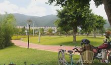 [超新星初中组]难忘那张岁月的脸_900字