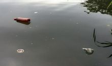 让环境污染远离我们_1200字