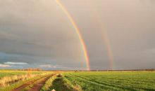 [超新星初中组]风雨过后 彩虹依旧_1000字