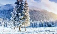 写景作文：雪 鲁迅_650字