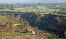 [超新星初中组]身边的风景也动人_600字