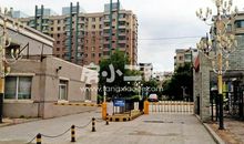 [超新星初中组]和谐阳光_900字