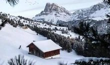 大雪中的笑声_450字