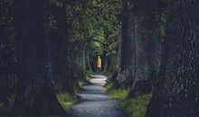 梦幻的虚无_1200字