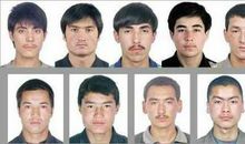 一只猫的临终遗言_1000字