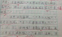 关于元旦的作文：元旦1_800字