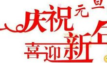 关于元旦作文：难忘元旦_600字